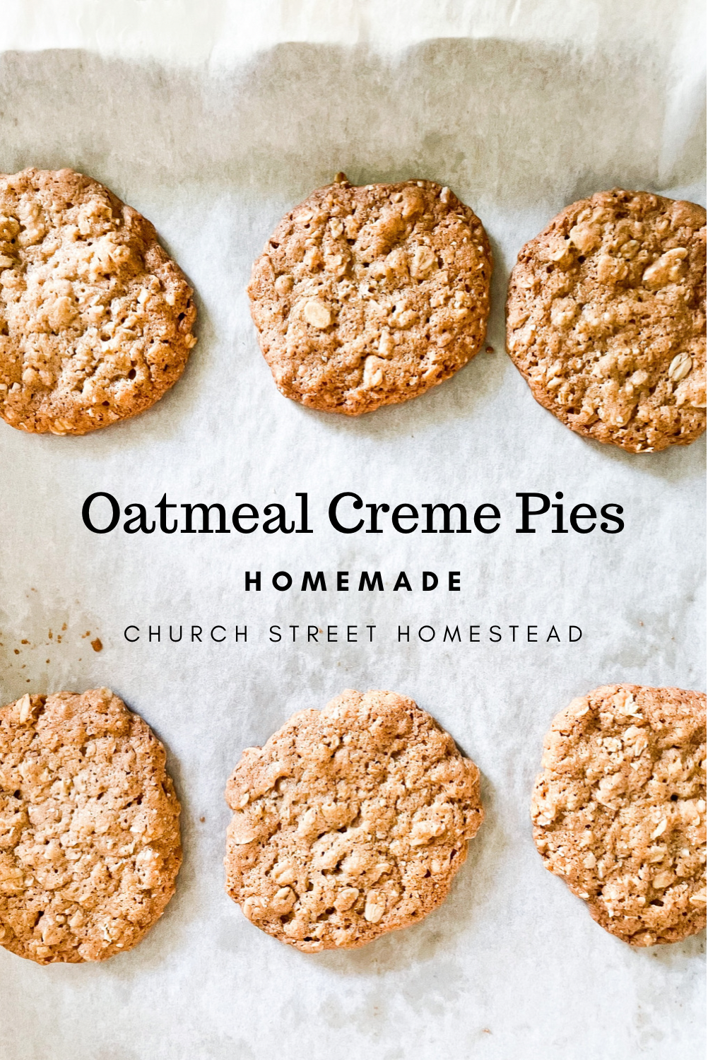 oatmeal cookies on parchment paper - pinterest pi 