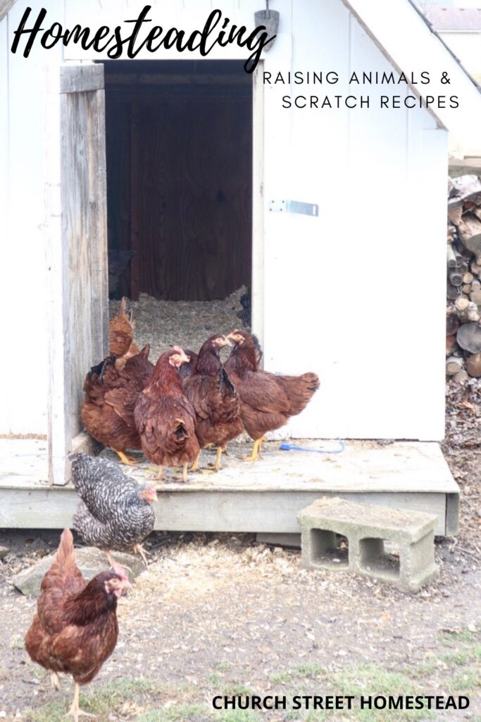 City girl owns a chicken coop.