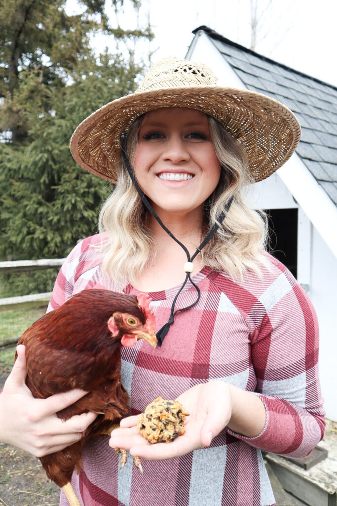 city girl becomes a homesteader Holding a chicken and a chicken treat 